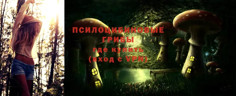 shop формула  где купить наркоту  Гулькевичи  Галлюциногенные грибы Magic Shrooms 